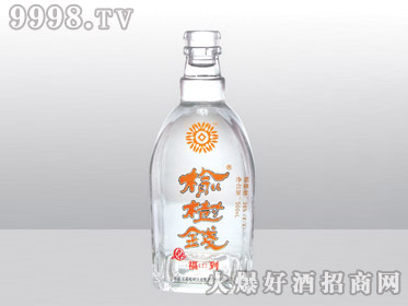 ߰ϲƿǮYT-163-500ml